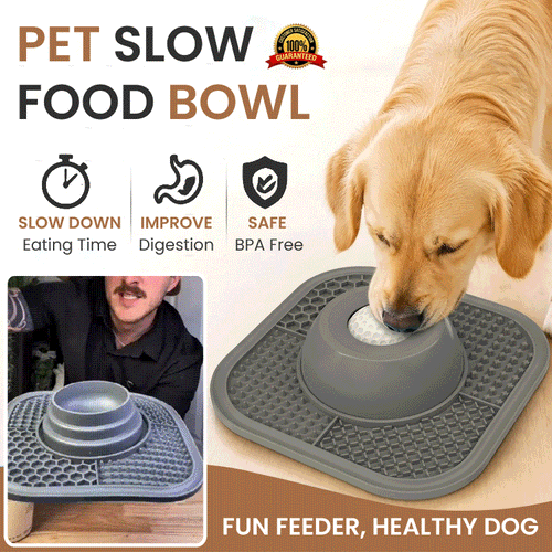 Rolling Ball Slow Feeder Bowl For Cats & Dogs