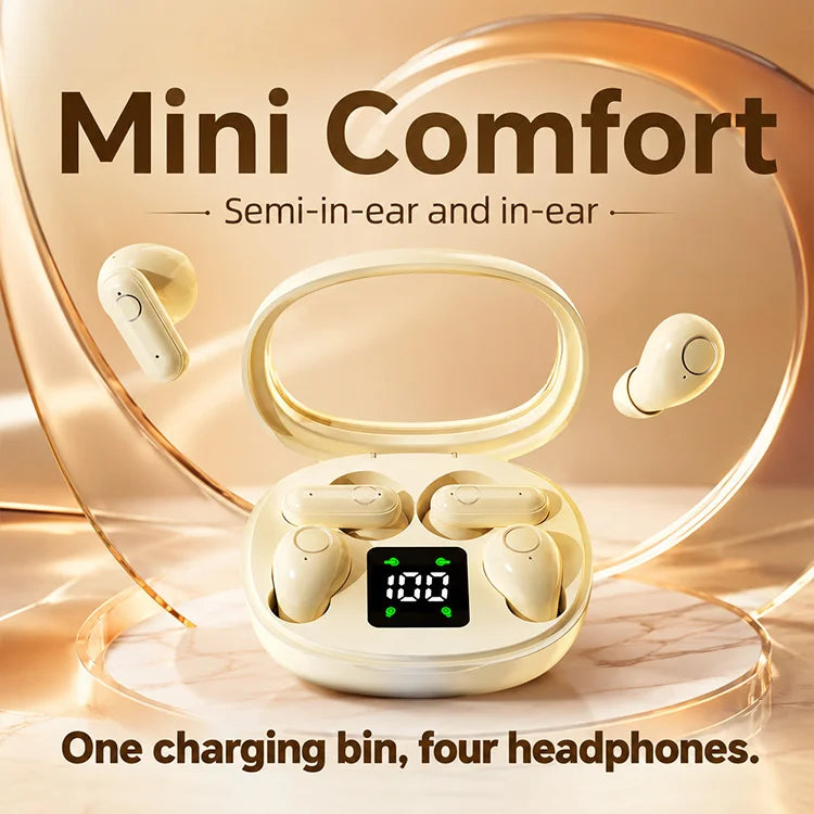 2-in-1 Dual Earbud Set